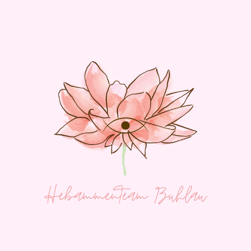 Das Logo des Hebammenteam Bühlau besteht aus einer lachsfarbenen Lotusblüte im Aquarellstil auf einem zart-rosa Hintergrund. In der Blüte ist schematisch ein Auge dargestellt. Unter der Blüte steht der Name "HebammenTeam Bühlau" in geschwungener Schrift.